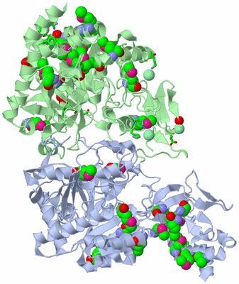 Image Asym./Biol. Unit - sites