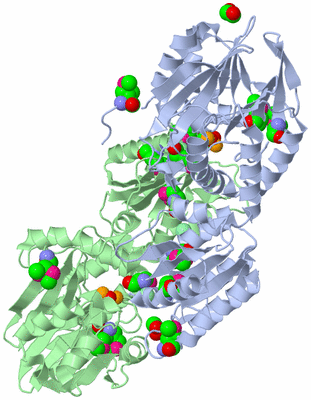 Image Asym./Biol. Unit