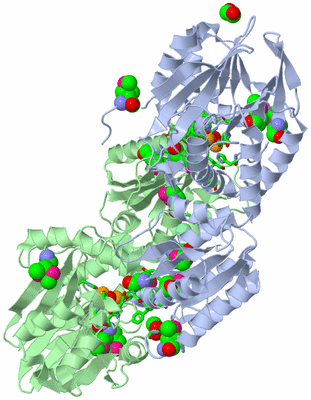 Image Asym./Biol. Unit - sites