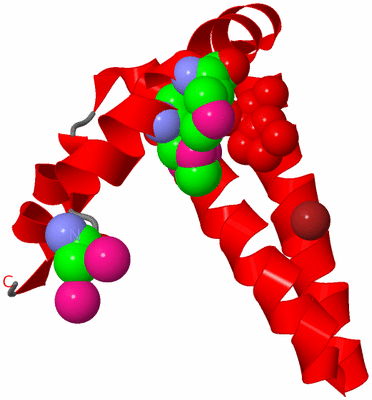 Image Asymmetric Unit