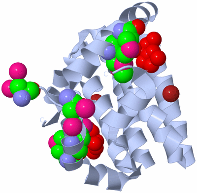 Image Biological Unit 1