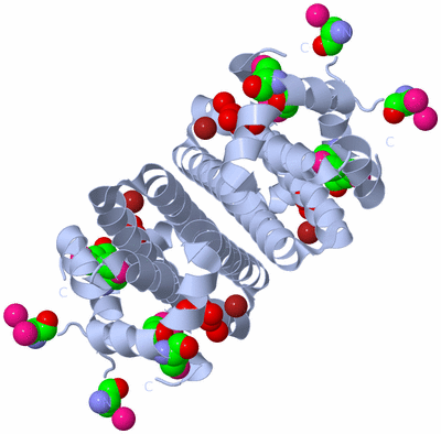 Image Biological Unit 2