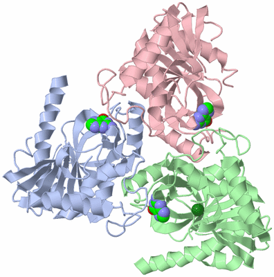 Image Asym./Biol. Unit