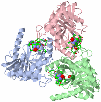 Image Asym./Biol. Unit - sites