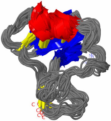 Image NMR Structure - all models