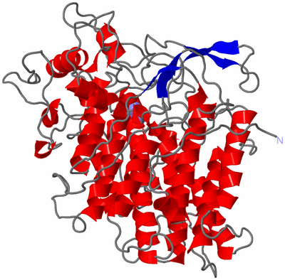 Image Asymmetric Unit