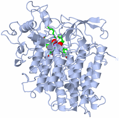 Image Biol. Unit 1 - sites