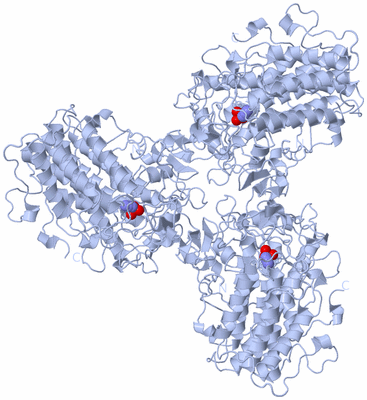 Image Biological Unit 2
