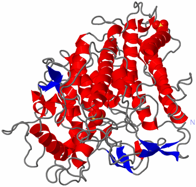 Image Asym./Biol. Unit