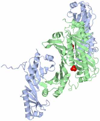 Image Biological Unit 3