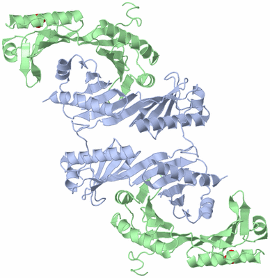 Image Biological Unit 4