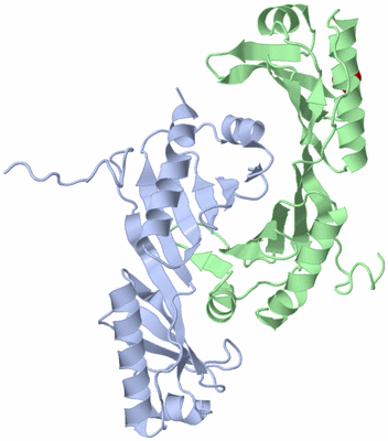 Image Biological Unit 5