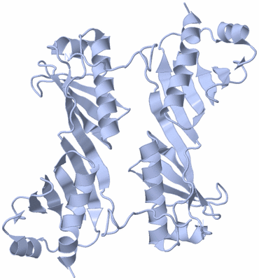 Image Biological Unit 6