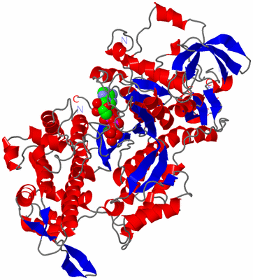 Image Asym./Biol. Unit