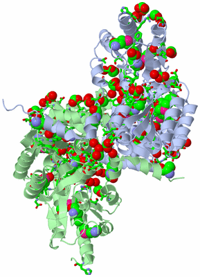 Image Asym./Biol. Unit - sites