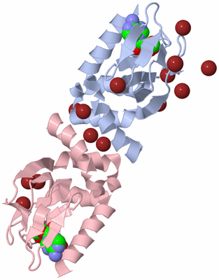 Image Asym./Biol. Unit