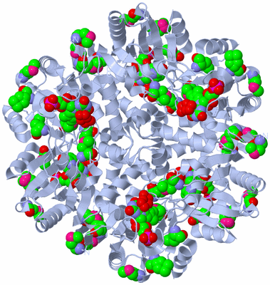 Image Biological Unit 1