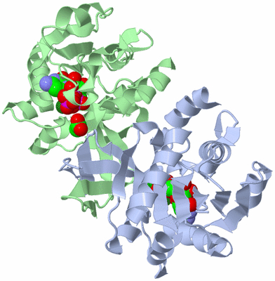 Image Asym./Biol. Unit