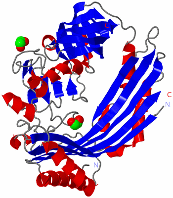 Image Asymmetric Unit