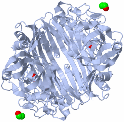 Image Biological Unit 1