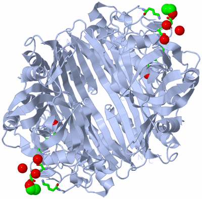 Image Biol. Unit 1 - sites