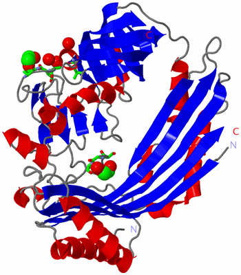 Image Asym. Unit - sites