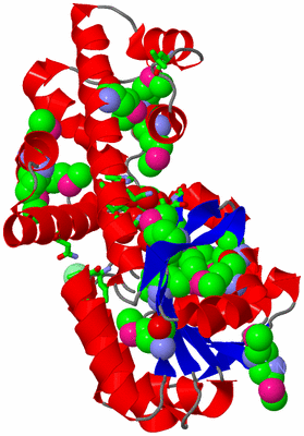 Image Asym./Biol. Unit - sites