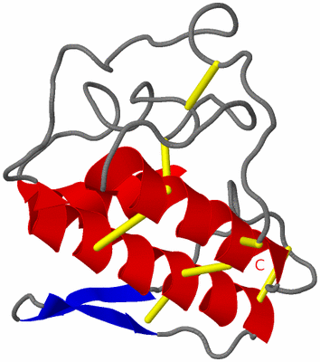Image Asymmetric Unit