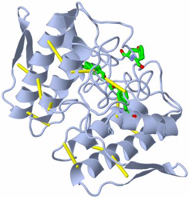 Image Biol. Unit 1 - sites