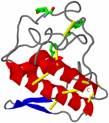 Image Asym. Unit - sites