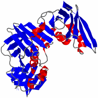 Image Asymmetric Unit