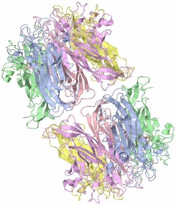 Image Biological Unit 2