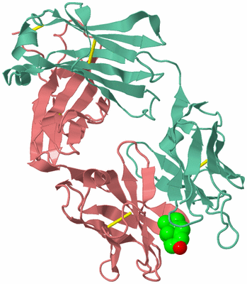 Image Biological Unit 1