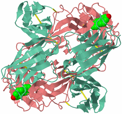 Image Biological Unit 2