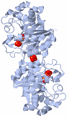 Image Biological Unit 2