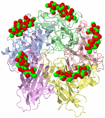 Image Biological Unit 1