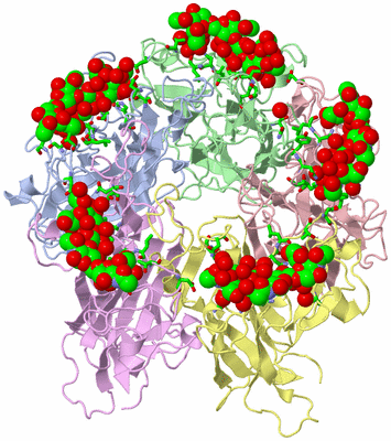 Image Biol. Unit 1 - sites