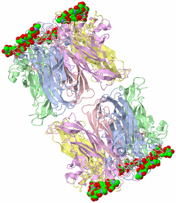 Image Biological Unit 2