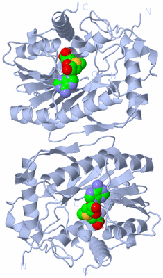 Image Biological Unit 1