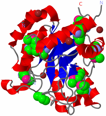 Image Asym./Biol. Unit