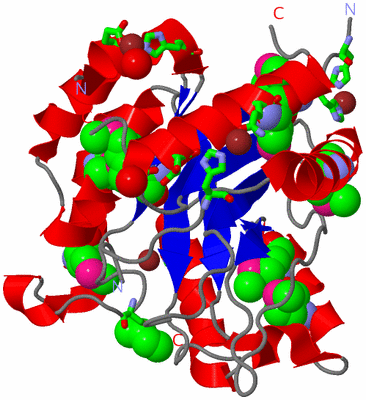 Image Asym./Biol. Unit - sites