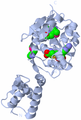 Image Biological Unit 1