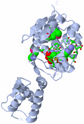 Image Biol. Unit 1 - sites