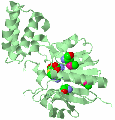 Image Biological Unit 2