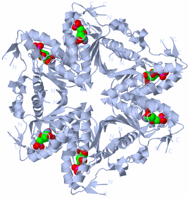 Image Biological Unit 2