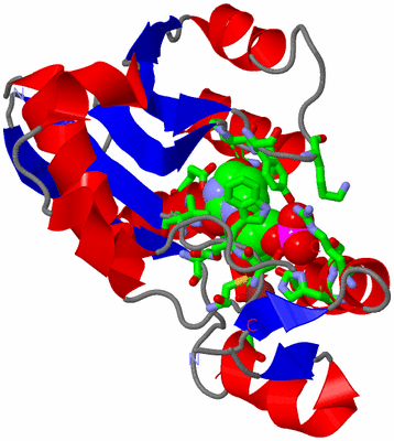 Image Asym. Unit - sites