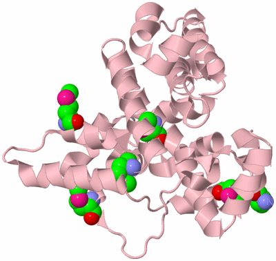 Image Biological Unit 3