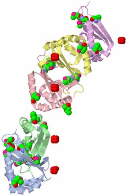 Image Asymmetric Unit