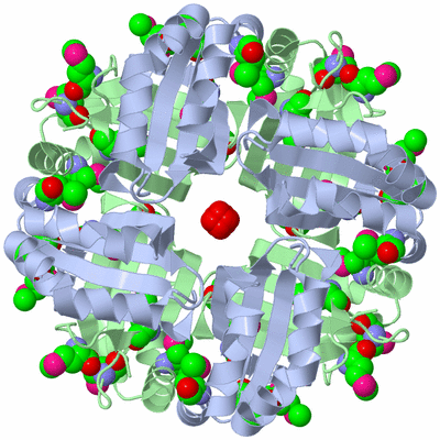 Image Biological Unit 1