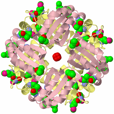 Image Biological Unit 2